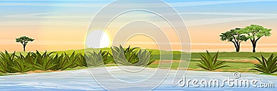 African savannah. Grass, acacia trees and a large lake. Realistic vector landscape. The nature of Africa Vector Illustration